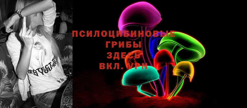 наркошоп  Кропоткин  Галлюциногенные грибы Cubensis 